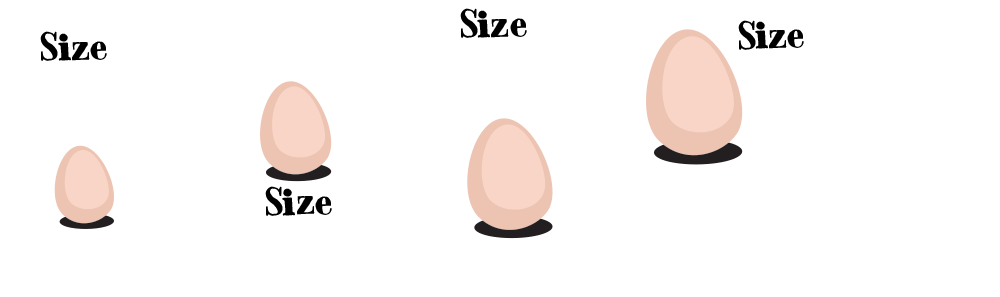 our-eggs.png